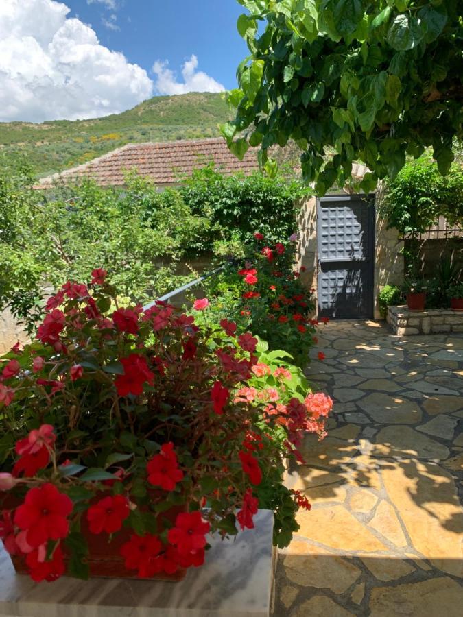 Vjosa Guest House Memaliaj Exteriér fotografie