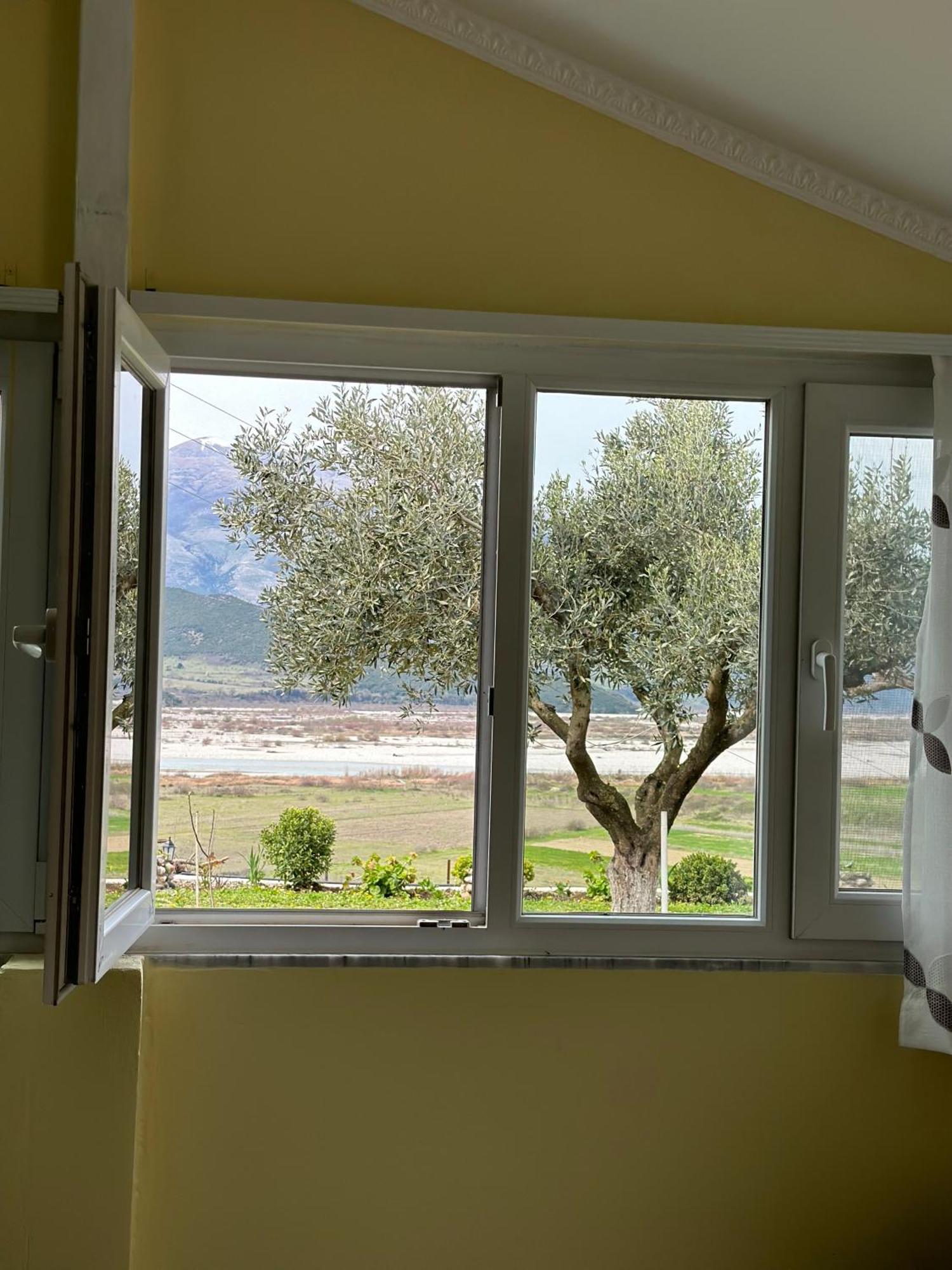 Vjosa Guest House Memaliaj Exteriér fotografie